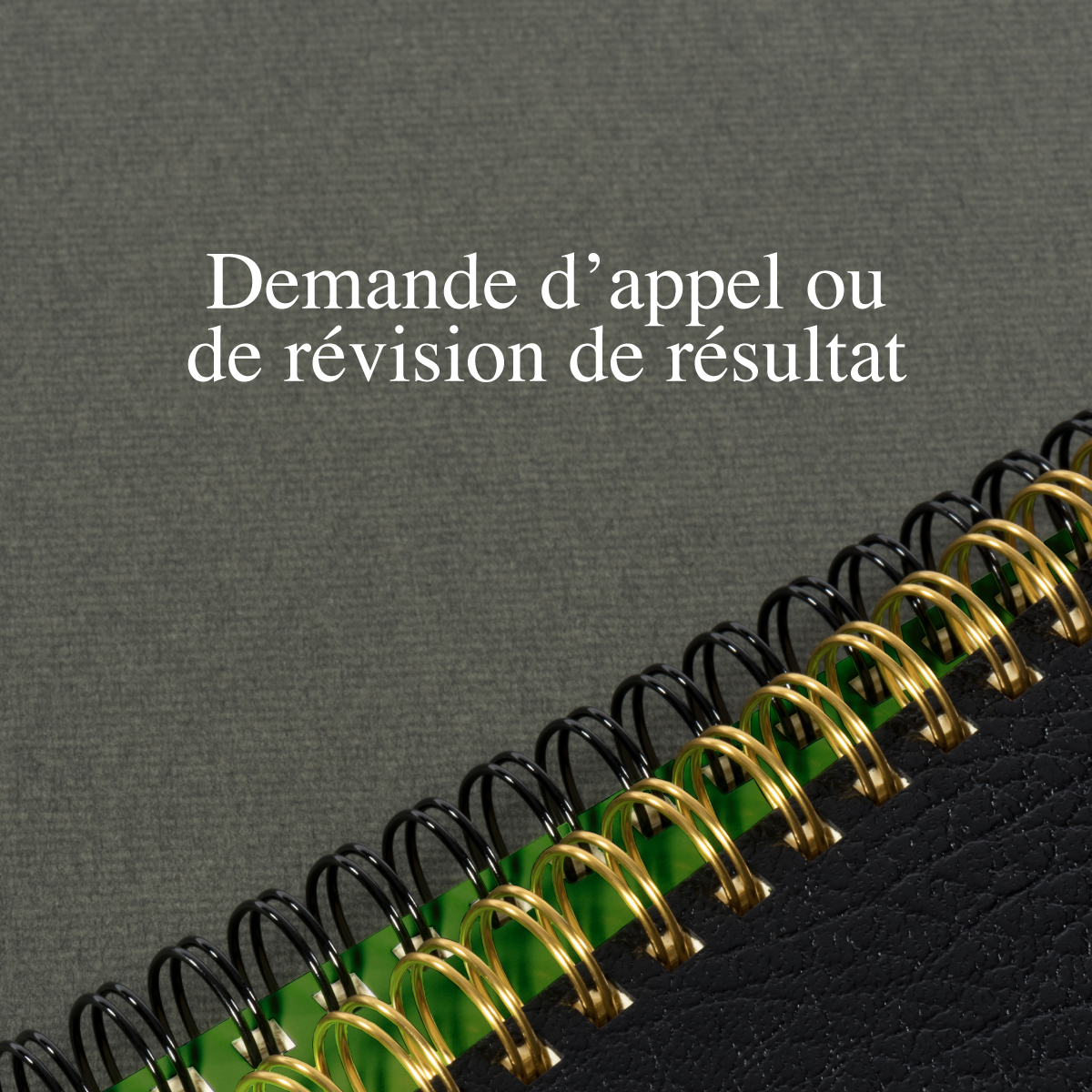0. Demande d’appel ou de révision de résultat (103000.47104) NT