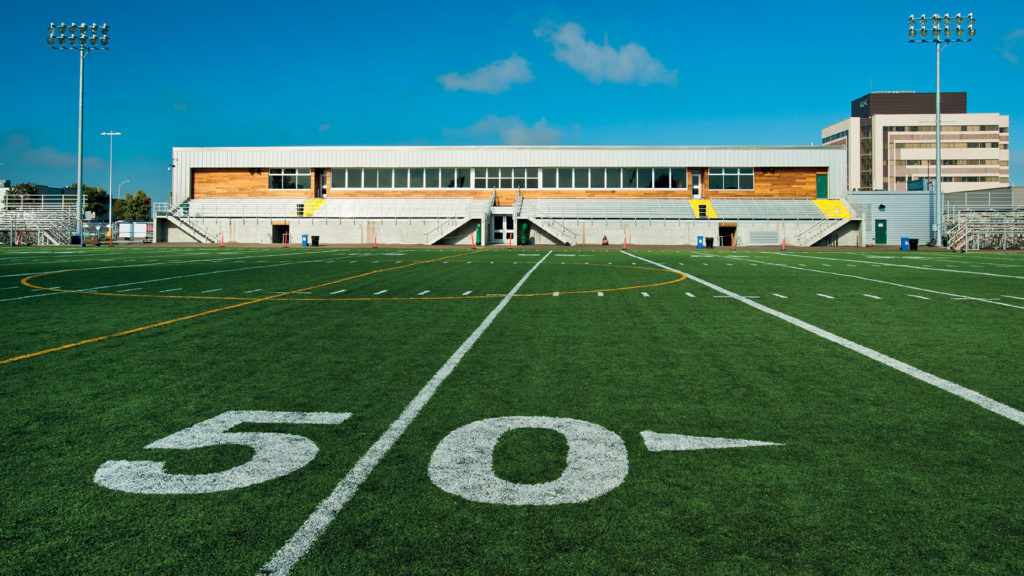 TERRAIN SYNTHÉTIQUE