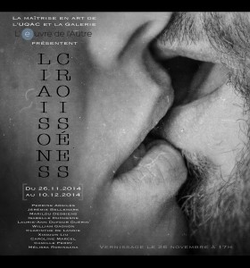 Liaisons croisées Affiche finale version light