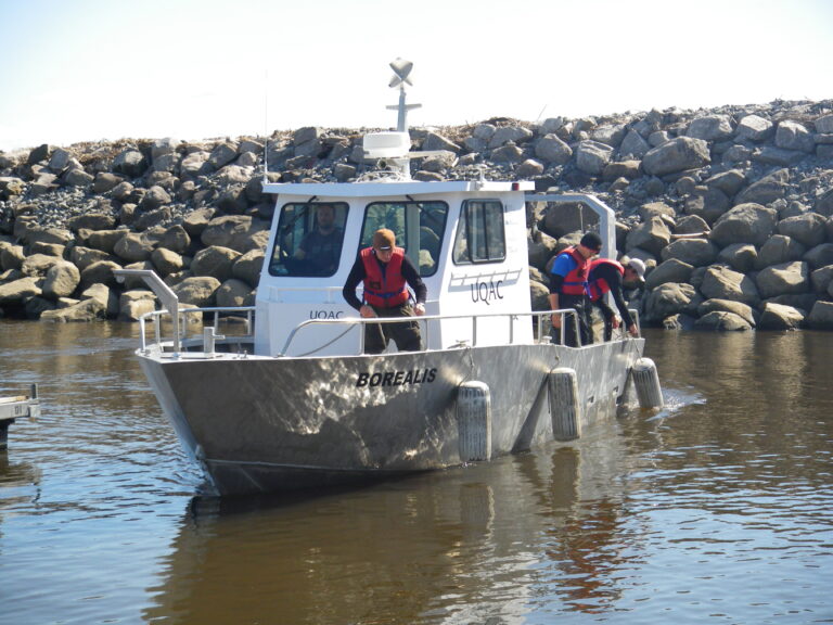 La Chaire de recherche sur les espèces aquatiques exploitées de l’UQAC pilote un projet d’acquisition de connaissances sur les poissons fourrages littoraux du lac Saint-Jean