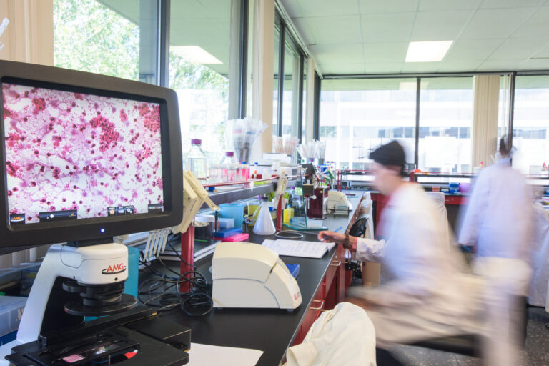 La professeure Catherine Laprise obtient une subvention de près de 500 000 $ pour l’identification d’un profil génétique et microbien de risque pour la COVID-19