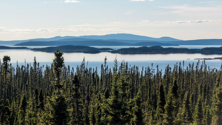 L’Observatoire régional de recherche sur la forêt boréale lance sa carte narrative