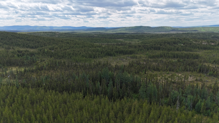 L’avenir de la forêt boréale du Québec compromise par l’augmentation de l’activité des feux