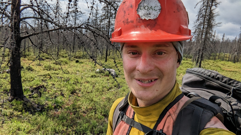 Ensemencement par drone : une alternative efficace pour reboiser les forêts brûlées?