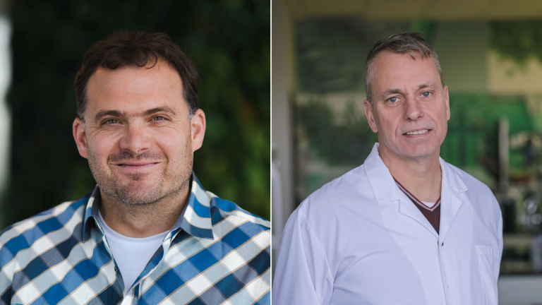 Deux importantes subventions pour la recherche sur les plastiques en milieu agricole