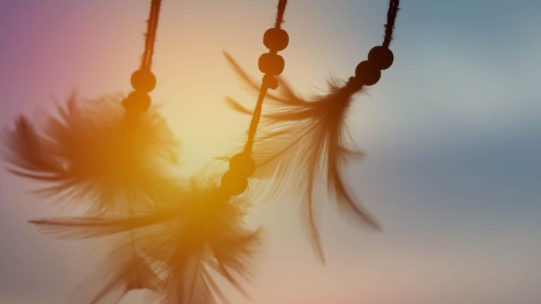 Le campus de Sept-Îles s’anime pour une semaine de célébration des langues et des cultures autochtones